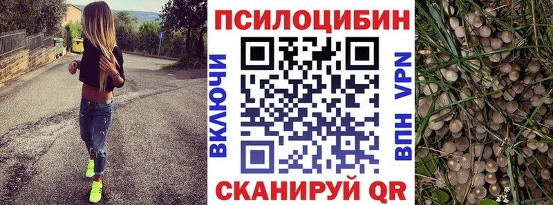 Галлюциногенные грибы Magic Shrooms  Полысаево 