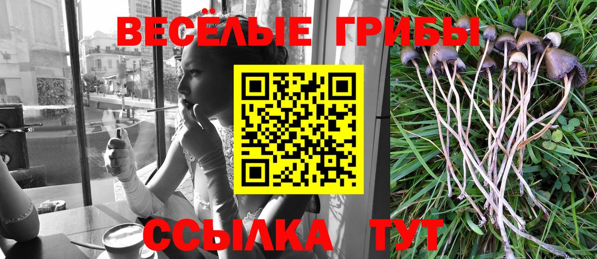Полысаево  Псилоцибиновые грибы Cubensis  Вход с VPN 