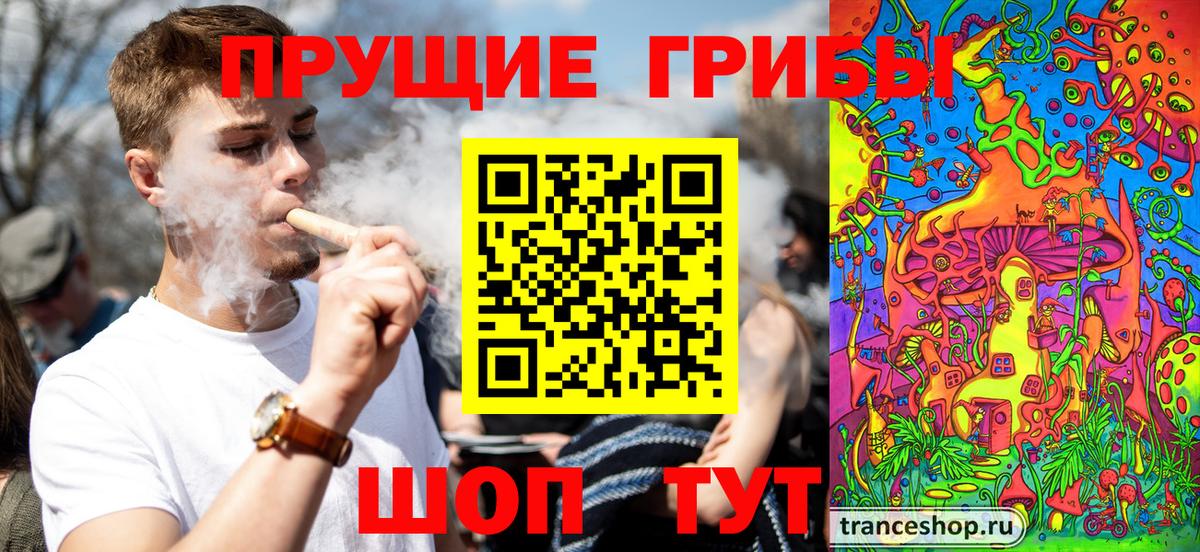 Псилоцибиновые грибы Cubensis Полысаево