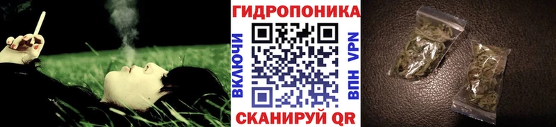 Бошки Шишки ГИДРОПОН Полысаево